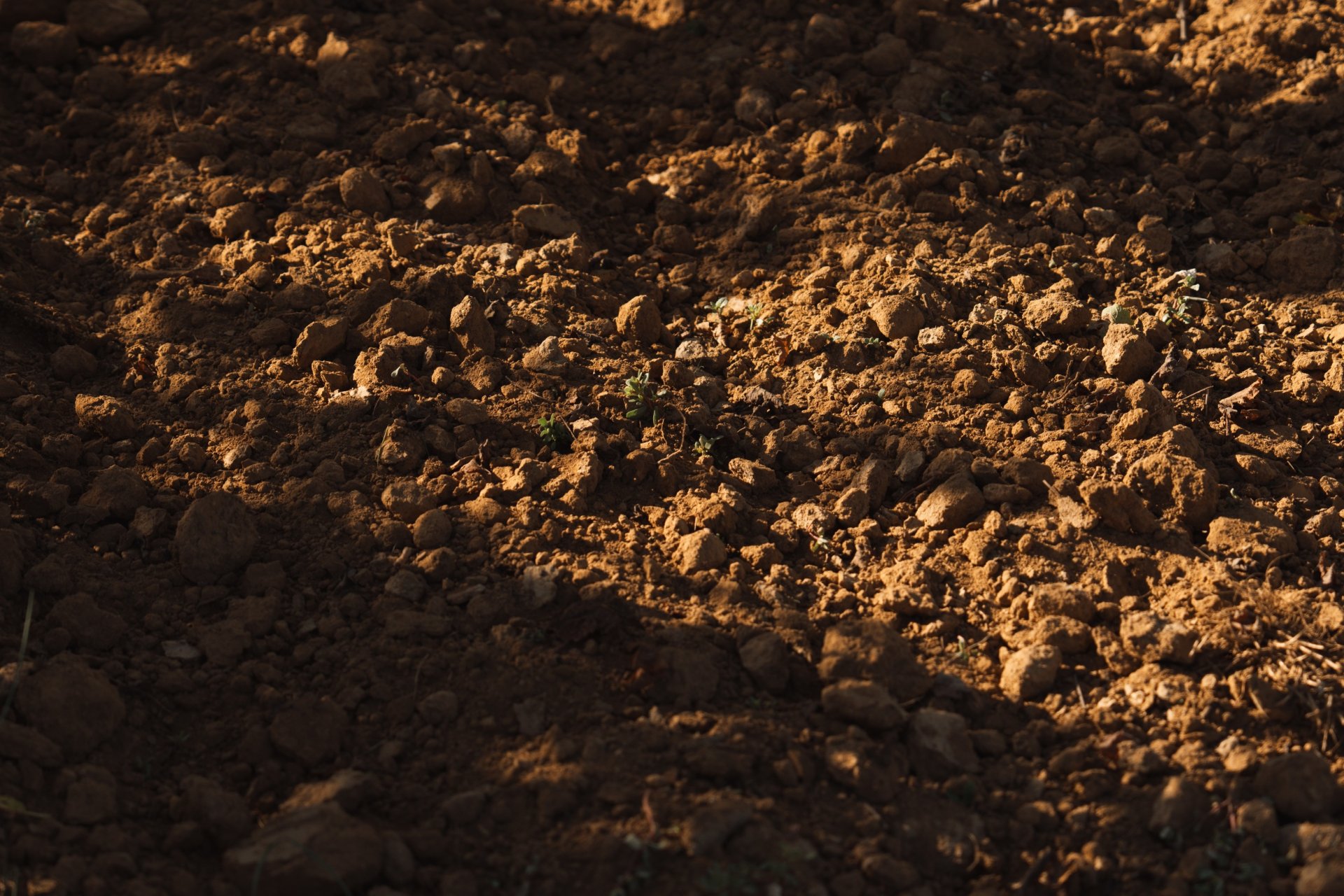 Quarry de Sours 索尔斯堡-旷世 - Château de Sours